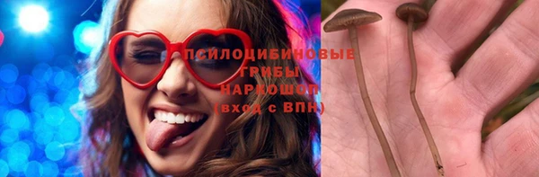 трава Бронницы