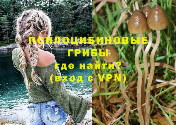 кристаллы Бородино