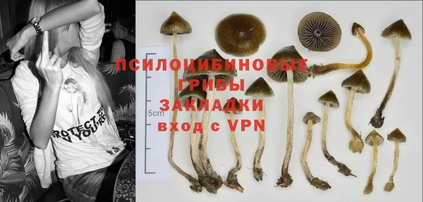 кристаллы Бородино