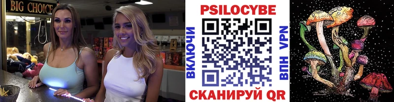 Купить  Кузнецк  Псилоцибиновые грибы Psilocybine cubensis 